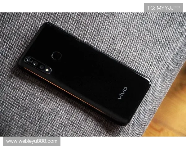 乐鱼体育官网手机版：多平台无缝切换确保运动迷随时随地获得最佳娱乐体验