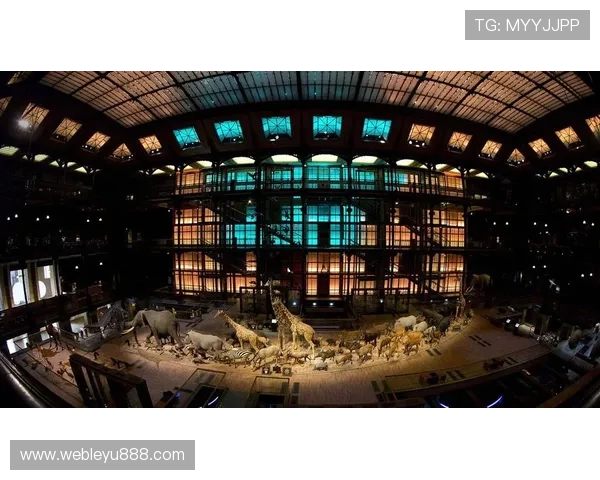 乐鱼平台与大巴黎合作的历史背景及未来合作规划详细解读 乐鱼平台与大巴黎合作的历史背景及未来合作规划详细解读