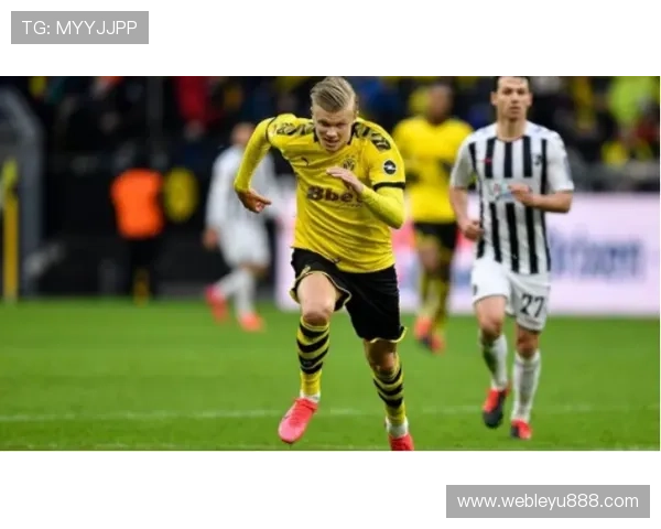 乐鱼平台合作伙伴大巴黎01在体育赛事推广中的成功经验分享