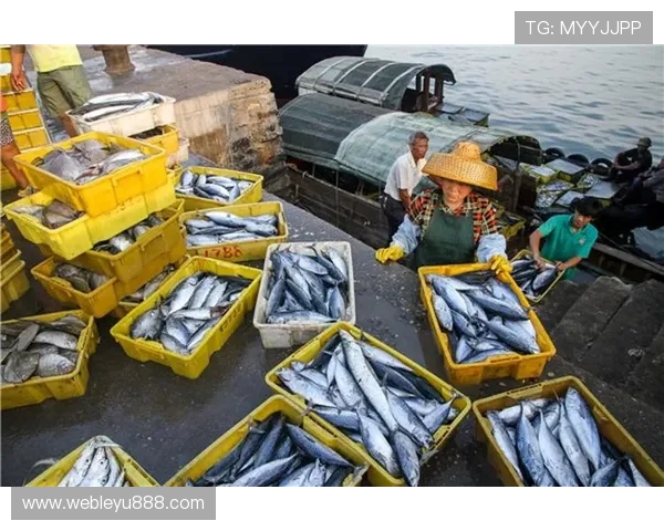 乐鱼旗舰店——正宗海鲜直供，满意度超高的海鲜购物平台