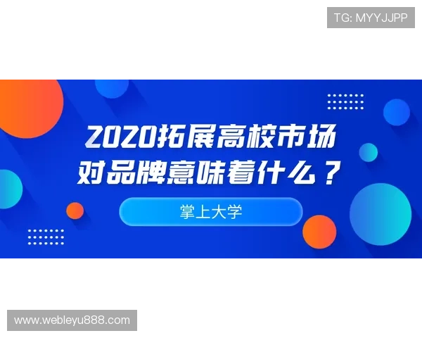 乐鱼电子股份有限公司在国内外市场的扩展策略及品牌影响力提升路径分析