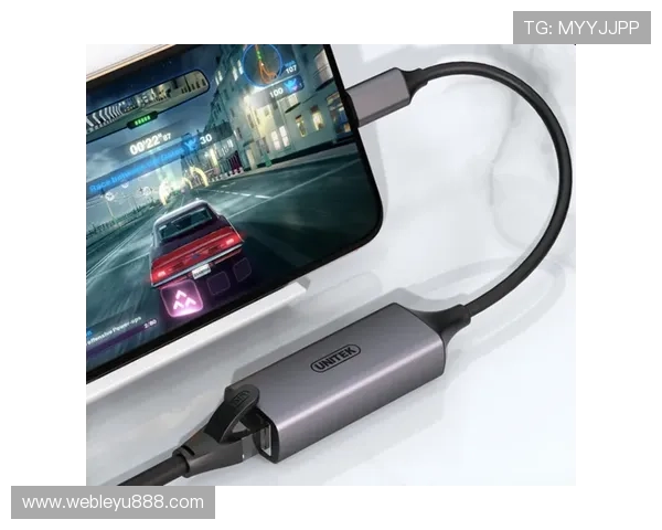 乐鱼app官方入口官方渠道推荐，保障账号安全畅玩多样网络游戏