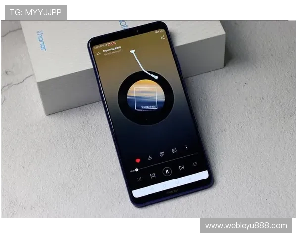 乐鱼备用平台多样化游戏类型推荐满足不同玩家的多样需求